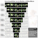 Mobile Preview: Küchenrückwand Folie Zitrusfrüchte Splash Variantenauswahl Vorschaubild Höhe 80cm