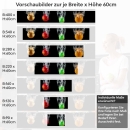 Mobile Preview: Küchenrückwand Folie bunte Äpfel Variantenauswahl Vorschaubild Höhe 60cm