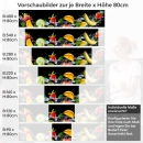 Mobile Preview: Küchenrückwand Folie Frutta Variantenauswahl Vorschaubild Höhe 80cm