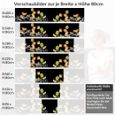 Mobile Preview: Küchenrückwand Folie tropische Früchte Variantenauswahl Vorschaubild Höhe 80cm