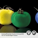 Mobile Preview: Küchenrückwand Folie farbige Äpfel Detailbild 2