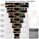 Mobile Preview: Küchenrückwand Folie Ananas, Kokos & Co. als Küchenhighlight Höhe 80cm
