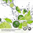 Mobile Preview: Küchenrückwand Folie spritzige Limetten Detailbild 2