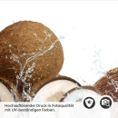Mobile Preview: Küchenrückwand Folie Kokosnuss Freeze Detailbild 2