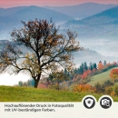 Mobile Preview: Küchenrückwand Folie Weide Detailbild 2