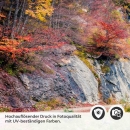 Mobile Preview: Küchenrückwand Folie Naturwunder am See Detailbild 2