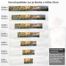 Mobile Preview: Küchenrückwand Folie Dünenlandschaft & Strand Flora Höhe 51cm