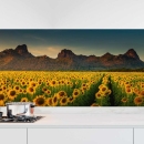 Mobile Preview: Küchenrückwand Folie Sonnenblumen Feld Hauptbild 1