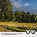 Mobile Preview: Küchenrückwand Folie Landschaft im Frühling Detailbild 2