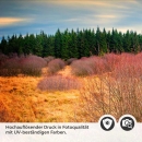 Mobile Preview: Küchenrückwand Folie Holzweg durch die Herbstlandschaft Detailbild 2