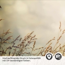 Mobile Preview: Küchenrückwand Folie Weizenfeld Detailbild 2