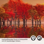 Mobile Preview: Küchenrückwand Folie Bäume am See - Herbstliche Natur Detailbild 2