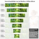 Mobile Preview: Küchenrückwand Folie Bambus Paradies - Fernöstliches Flair für Zuhause 60cm