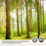 Mobile Preview: Küchenrückwand Folie Bach im Wald Detailbild 2