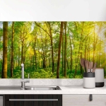 Mobile Preview: Küchenrückwand Folie Grüner Waldtraum Hauptbild 1