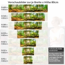 Mobile Preview: Küchenrückwand Folie Wald Lichtspiel Höhe 80cm