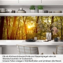 Mobile Preview: Küchenrückwand Folie herbstlicher Wald Artikelbild 1