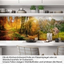 Mobile Preview: Küchenrückwand Folie Weg durch den Wald im Herbst Artikelbild 1