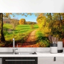 Mobile Preview: Küchenrückwand Folie Weg durch den Wald im Herbst Hauptbild 1