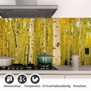 Mobile Preview: Küchenrückwand Folie Birkenwald Detailbild 1