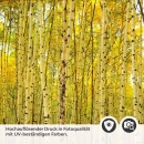 Mobile Preview: Küchenrückwand Folie Birkenwald Detailbild 2