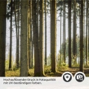 Mobile Preview: Küchenrückwand Folie Nadelwald - Lichtspiel der Natur Detailbild 2