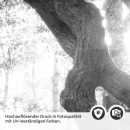Mobile Preview: Küchenrückwand Folie Baum im Licht - Schwarz-Weiß Waldmotiv Detailbild 2