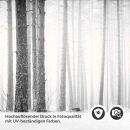 Mobile Preview: Küchenrückwand Folie Monochromer Wald - Harmonie und Mystik Detailbild 2