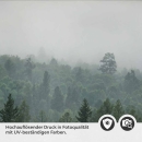 Mobile Preview: Küchenrückwand Folie Wald im Nebel Detailbild 2