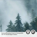Mobile Preview: Küchenrückwand Folie Nebel und Tannen - Ein Hauch von Naturmystik Detailbild 2