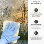 Mobile Preview: Küchenrückwand Dünenlandschaft & Strand Flora  Produktdetailbild 3: Reinigung leicht gemacht!