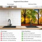 Mobile Preview: Küchenrückwand Platte Herbstlicher Wald Produktdetailbild 2: Hygiene und Gesundheit!