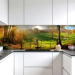 Mobile Preview: Küchenrückwand Platte Herbstlicher Waldweg Artikelbild 2