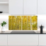 Mobile Preview: Küchenrückwand Platte Birkenwald Hauptbild 1