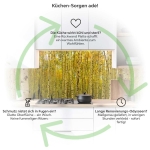 Mobile Preview: Küchenrückwand Platte Birkenwald Produktdetailbild 1: Küchen-Sorgen ade!