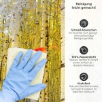 Mobile Preview: Küchenrückwand Platte Birkenwald Produktdetailbild 3: Reinigung leicht gemacht!