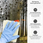 Mobile Preview: Küchenrückwand Platte Nadelwald im Lichtspiel der Natur Produktdetailbild 3: Reinigung leicht gemacht!