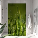 Mobile Preview: Sichtschutzfolie Dusche | Grashalmspitzen mit Tautropfen