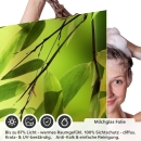Mobile Preview: Sichtschutzfolie Dusche | Steinbalance unter Bambuszweig