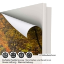 Mobile Preview: Türfolie Herbstliche Laubwald Straße ECO Folie