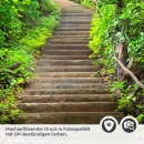 Mobile Preview: Türfolie Waldweg Treppe Detailbild 2