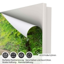 Mobile Preview: Türfolie Waldweg Treppe ECO Folie