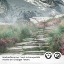 Mobile Preview: Türfolie Steinpfad zu den Alpen Detailbild 2