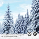 Mobile Preview: Türfolie Winterwald im Morgenlicht Detailbild 2