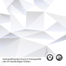 Mobile Preview: Türfolie Polygone Detailbild 2