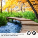 Mobile Preview: Türfolie Pfad durch den Wald Detailbild 2