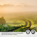 Mobile Preview: Türfolie Weg in landschaftlicher Idylle Detailbild 2