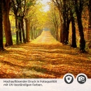 Mobile Preview: Türfolie herbstlicher Spaziergang Detailbild 2