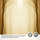 Mobile Preview: Türfolie nebeliger Pfad durch den Wald Detailbild 2