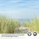 Mobile Preview: Türfolie Weg zum Strand in der Ostsee Detailbild 2